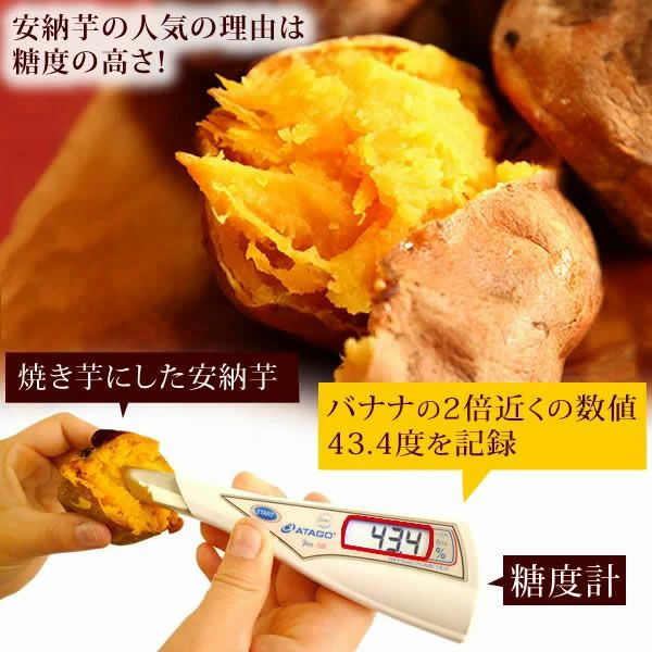 ホワイトデー 安納芋のキャラメルムース (5号) 【送料無料 ギフト プレゼント スイーツ お菓子 洋菓子 ケーキ キャラメルケーキ ムース ムースケーキ おしゃれ 可愛い かわいい】