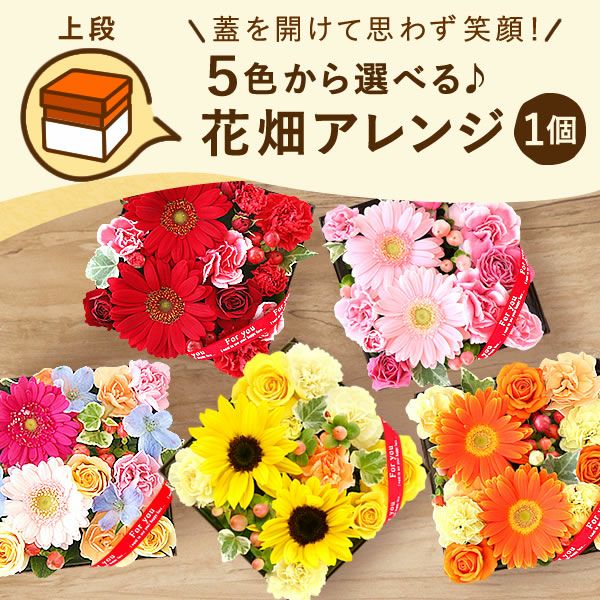 フラワー＆スイーツ　プレミアムボックスセット 母の日 プレゼント 花 生花 ギフト カーネーション ガーベラ フラワーアレンジメント ボックスフラワー フラワーボックス 花とスイーツ おしゃれ 可愛い 送料無料 スイーツ お菓子 洋菓子 ギフトセット おいもや
