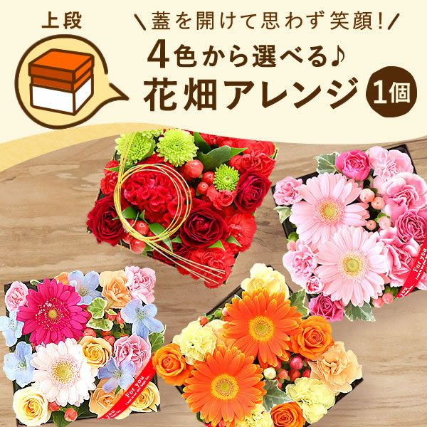 フラワー＆スイーツ　プレミアムボックスセット 母の日 プレゼント 花 生花 ギフト カーネーション ガーベラ フラワーアレンジメント ボックスフラワー フラワーボックス 花とスイーツ おしゃれ 可愛い 送料無料 スイーツ お菓子 洋菓子 ギフトセット おいもや