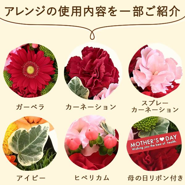 フラワー＆スイーツ　プレミアムボックスセット 母の日 プレゼント 花 生花 ギフト カーネーション ガーベラ フラワーアレンジメント ボックスフラワー フラワーボックス 花とスイーツ おしゃれ 可愛い 送料無料 スイーツ お菓子 洋菓子 ギフトセット おいもや