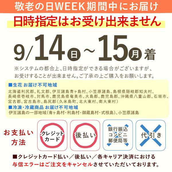 フラワー＆スイーツ　プレミアムボックスセット 母の日 プレゼント 花 生花 ギフト カーネーション ガーベラ フラワーアレンジメント ボックスフラワー フラワーボックス 花とスイーツ おしゃれ 可愛い 送料無料 スイーツ お菓子 洋菓子 ギフトセット おいもや
