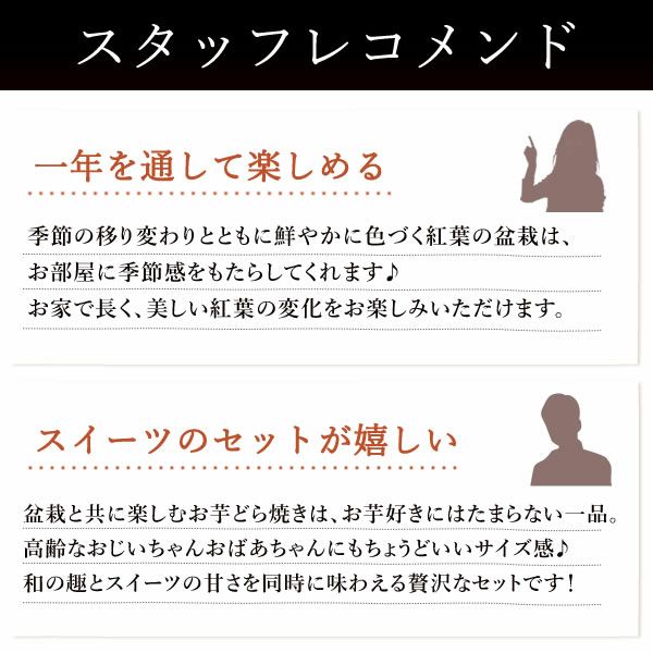 ミニ盆栽（紅葉）＋どら焼き２個セット 敬老の日 プレゼント ギフト 花 盆栽 ミニ 鉢植え 紅葉 もみじ 花鉢 観葉植物 ミニ盆栽 手のひら 苔盆栽 苔 おしゃれ どら焼き 送料無料 スイーツ お菓子 和菓子 メッセージカード おいもや