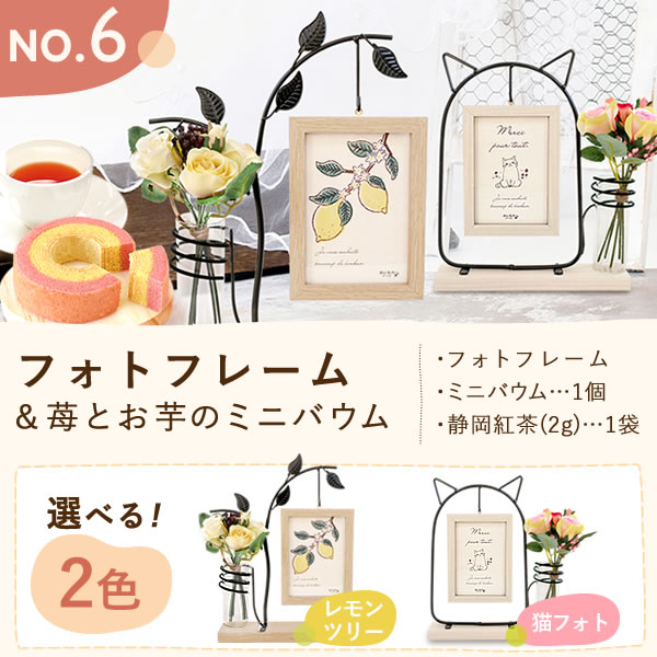 プレゼント ギフト 花 プリザーブドフラワー プリザ 薔薇 バラ 猫 ねこ かわいい おしゃれ 枯れない花 フラワーアレンジメント インテリア バウムクーヘン 送料無料 スイーツ お菓子 洋菓子 メッセージカード おいもや