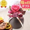母の日 プレゼント 花 ギフト プリザーブドフラワー ガラスドーム ミニ インテリア リース 置き物 猫 バラ 一輪 花束 シャボン ソープ 枯れない かわいい 送料無料 スイーツ お菓子 和菓子 洋菓子 ギフトセット おいもや
