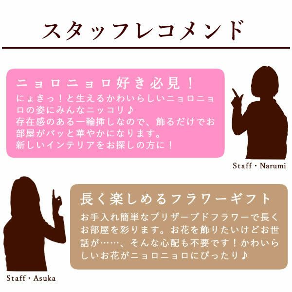 ニョロニョロ1輪挿しプリザ 母の日 プレゼント 花 ギフト プリザ プリザーブドフラワー ムーミン ニョロニョロ アレンジメント アレンジ バラ バウムクーヘン 動物 キャラクター 送料無料 スイーツ お菓子 洋菓子 ギフトセット おいもや