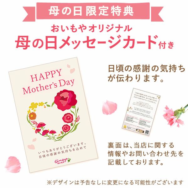 母の日 プレゼント 花 生花 ギフト 胡蝶蘭 ミディ 蘭 ラン 鉢花 鉢植え 生花 2本立ち お祝い おしゃれ 可愛い かわいい バウムクーヘン 苺 いちご 送料無料 スイーツ お菓子 洋菓子 ギフトセット おいもや