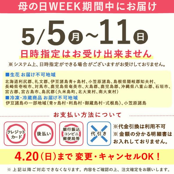 母の日 プレゼント 花 生花 ギフト ははの日 花 生花 ギフト 桜 さくら 盆栽 ミニ盆栽 鉢植え 花鉢 鉢花 フラワーギフト おしゃれ オシャレ 可愛い どら焼き 送料無料 スイーツ お菓子 和菓子 ギフトセット おいもや