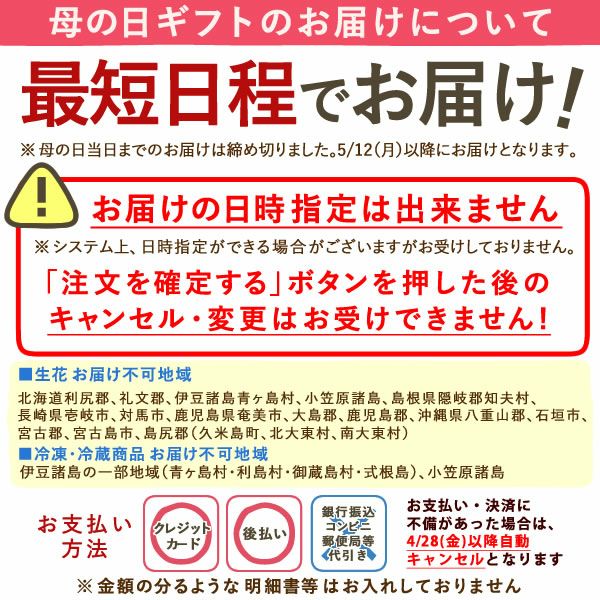 母の日 プレゼント 花 生花 ギフト 藤 盆栽 フジ ふじ 盆栽鉢 ミニ盆栽 鉢植え 藤の花 一才藤 花鉢 鉢花 ミニ bonsai 可愛い どら焼き どらやき 送料無料 スイーツ お菓子 和菓子 ギフトセット おいもや