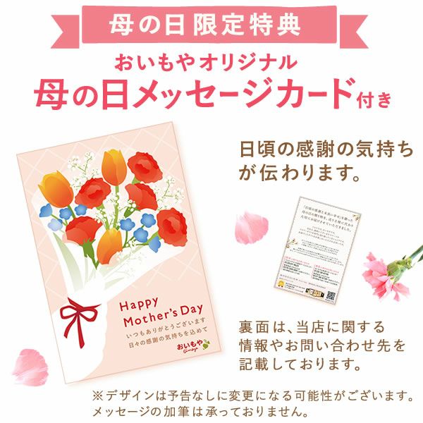 わんちゃん＆スイーツセット 母の日 プレゼント 花 ギフト カーネーション ケイトウ 花鉢 鉢花 鉢植え アニマル 犬 猫 ネコ ねこ クマ くま バウムクーヘン いちご 苺 イチゴ 送料無料 スイーツ お菓子 洋菓子 ギフトセット おいもや