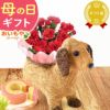 わんちゃん＆スイーツセット 母の日 プレゼント 花 ギフト カーネーション ケイトウ 花鉢 鉢花 鉢植え アニマル 犬 猫 ネコ ねこ クマ くま バウムクーヘン いちご 苺 イチゴ 送料無料 スイーツ お菓子 洋菓子 ギフトセット おいもや