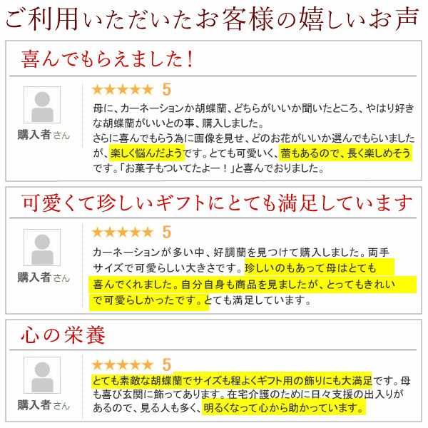 母の日 プレゼント 花 生花 ギフト 蘭 胡蝶蘭 ミディ 2.5号 インテリア 選べる バウム 苺バウム 送料無料 スイーツ お菓子 洋菓子 ギフトセット おいもや