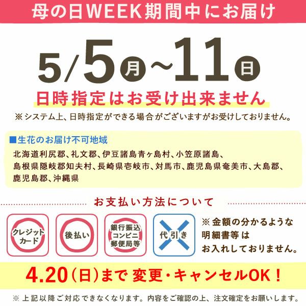 母の日 プレゼント 花 生花 ギフト 蘭 胡蝶蘭 ミディ 2.5号 インテリア 選べる バウム 苺バウム 送料無料 スイーツ お菓子 洋菓子 ギフトセット おいもや