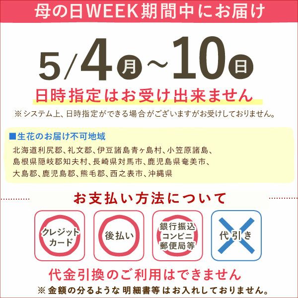 母の日 プレゼント 花 生花 ギフト 蘭 胡蝶蘭 ミディ 2.5号 インテリア 選べる バウム 苺バウム 送料無料 スイーツ お菓子 洋菓子 ギフトセット おいもや
