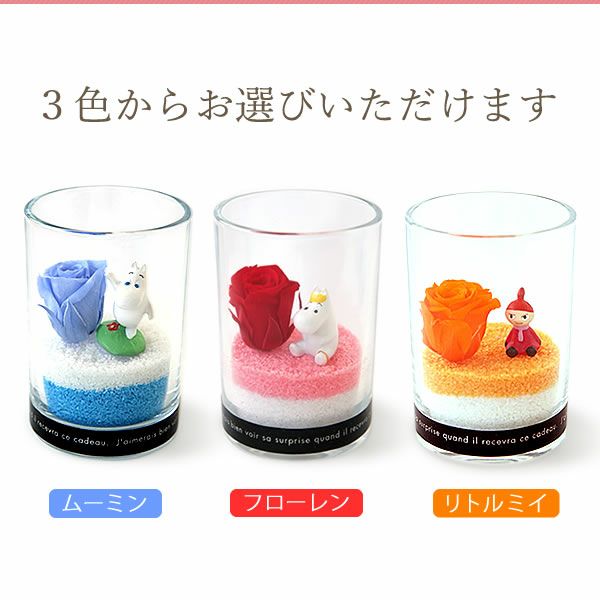 選べるムーミンギフト（プリザorフェイクグリーン）＆バウムクーヘン