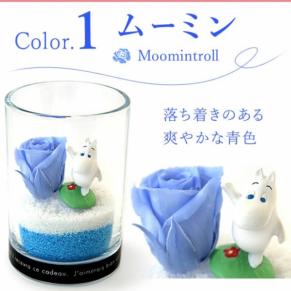 選べるムーミンギフト（プリザorフェイクグリーン）＆バウムクーヘン