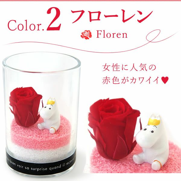 選べるムーミンギフト（プリザorフェイクグリーン）＆バウムクーヘン