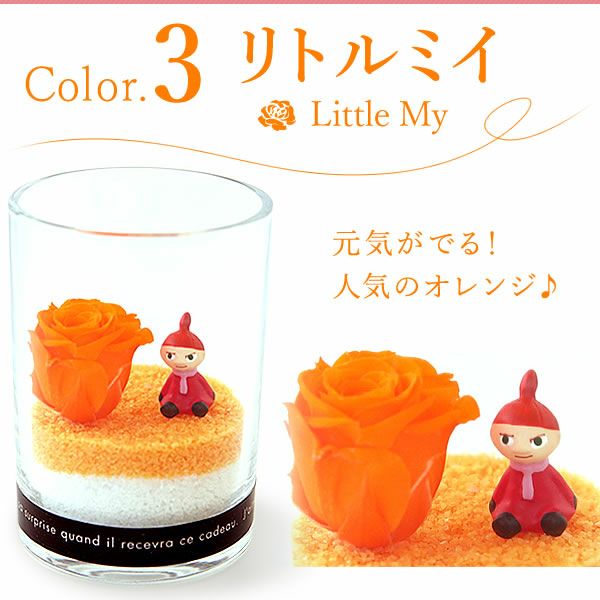 選べるムーミンギフト（プリザorフェイクグリーン）＆バウムクーヘン