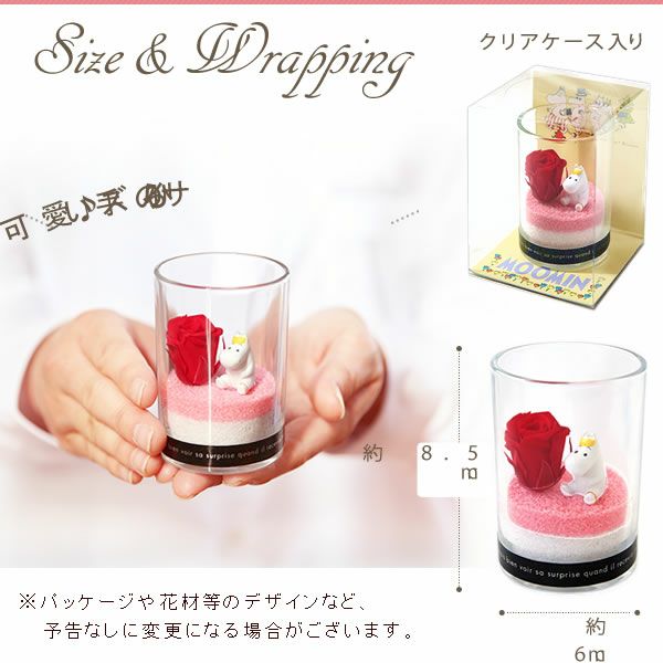 選べるムーミンギフト（プリザorフェイクグリーン）＆バウムクーヘン