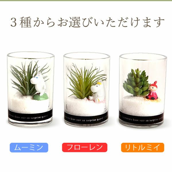 選べるムーミンギフト（プリザorフェイクグリーン）＆バウムクーヘン