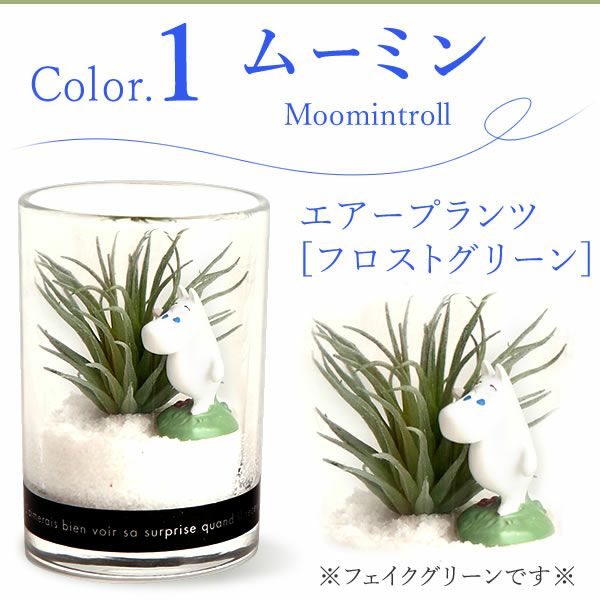 選べるムーミンギフト（プリザorフェイクグリーン）＆バウムクーヘン