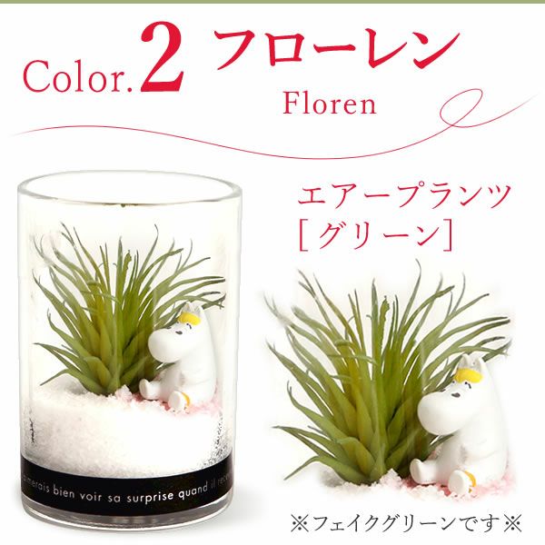 選べるムーミンギフト（プリザorフェイクグリーン）＆バウムクーヘン