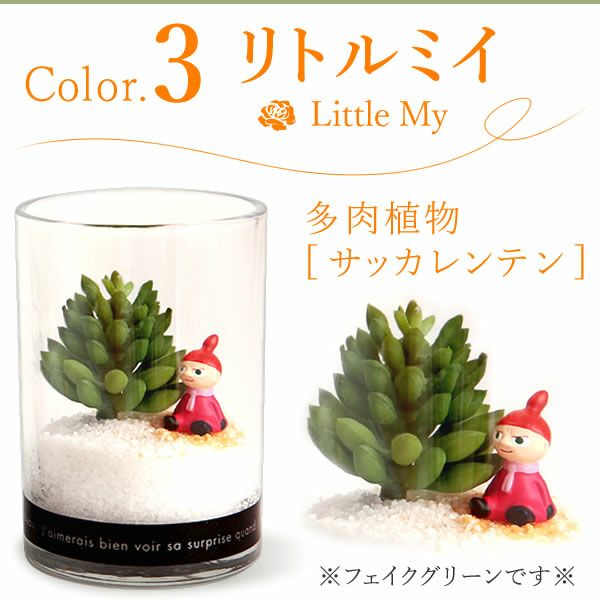 選べるムーミンギフト（プリザorフェイクグリーン）＆バウムクーヘン