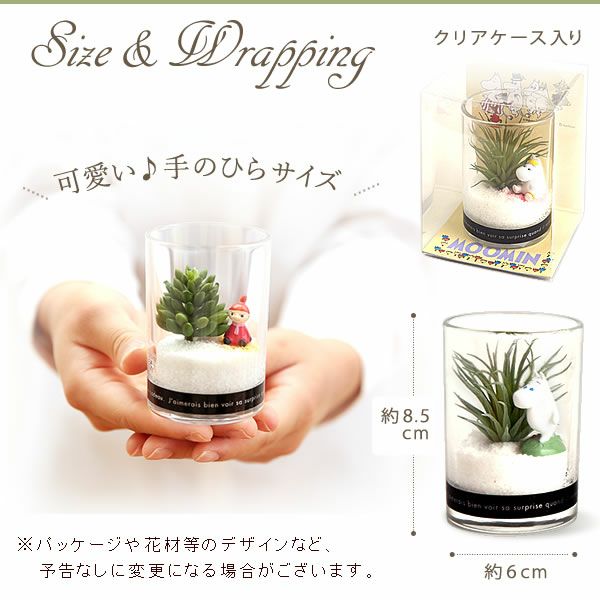 選べるムーミンギフト（プリザorフェイクグリーン）＆バウムクーヘン