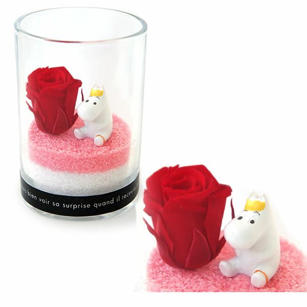 選べるムーミンギフト（プリザorフェイクグリーン）＆バウムクーヘン