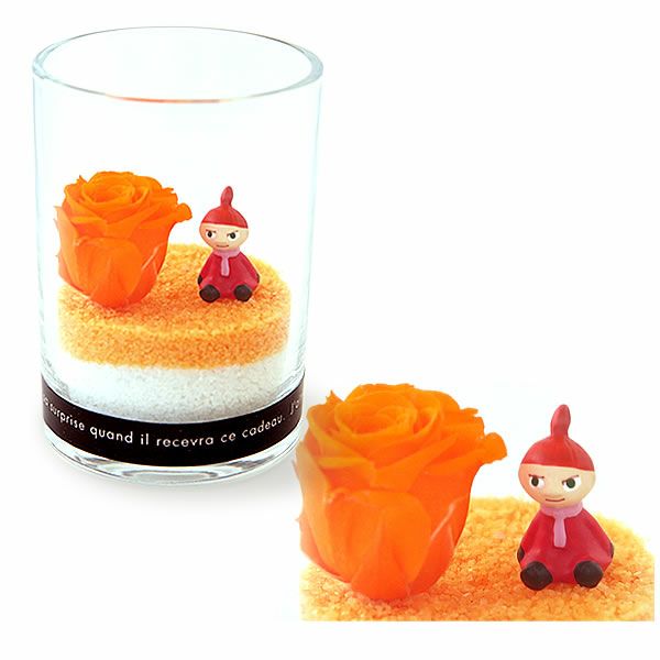 選べるムーミンギフト（プリザorフェイクグリーン）＆バウムクーヘン