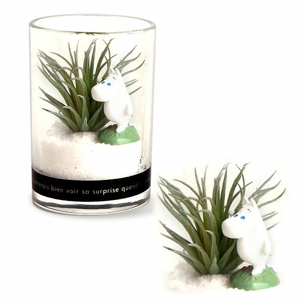 選べるムーミンギフト（プリザorフェイクグリーン）＆バウムクーヘン