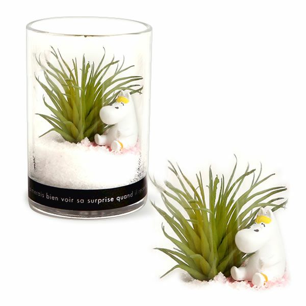 選べるムーミンギフト（プリザorフェイクグリーン）＆バウムクーヘン