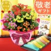 カランコエ5号鉢＆選べるスイーツセット（カステラ・富士山ようかん・あんみつ） 敬老の日 プレゼント ギフト 花 花鉢 鉢花 鉢植え 生花 カランコエ どら焼き バウムクーヘン 干し芋 芋けんぴ カステラ あんみつ 送料無料 スイーツ お菓子 和菓子 洋菓子 メッセージカード おいもや