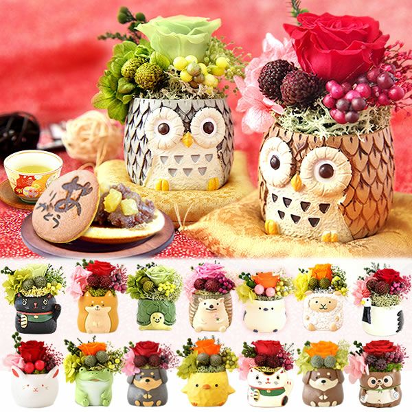 選べるミニポットプリザ＆お芋どら焼き 【母の日 プレゼント 花 ギフト プリザーブドフラワー 犬 犬好き フラワーアレンジメント かわいい おしゃれ ペット バラ 薔薇 一輪 アニマル 動物 ミニ 置き物 送料無料 スイーツ お菓子 和菓子 ギフトセット おいもや】