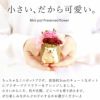 選べるミニポットプリザ＆お芋どら焼き 【母の日 プレゼント 花 ギフト プリザーブドフラワー 犬 犬好き フラワーアレンジメント かわいい おしゃれ ペット バラ 薔薇 一輪 アニマル 動物 ミニ 置き物 送料無料 スイーツ お菓子 和菓子 ギフトセット おいもや】