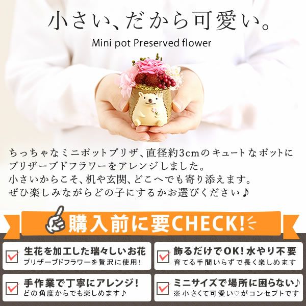 選べるミニポットプリザ＆お芋どら焼き 【母の日 プレゼント 花 ギフト プリザーブドフラワー 犬 犬好き フラワーアレンジメント かわいい おしゃれ ペット バラ 薔薇 一輪 アニマル 動物 ミニ 置き物 送料無料 スイーツ お菓子 和菓子 ギフトセット おいもや】