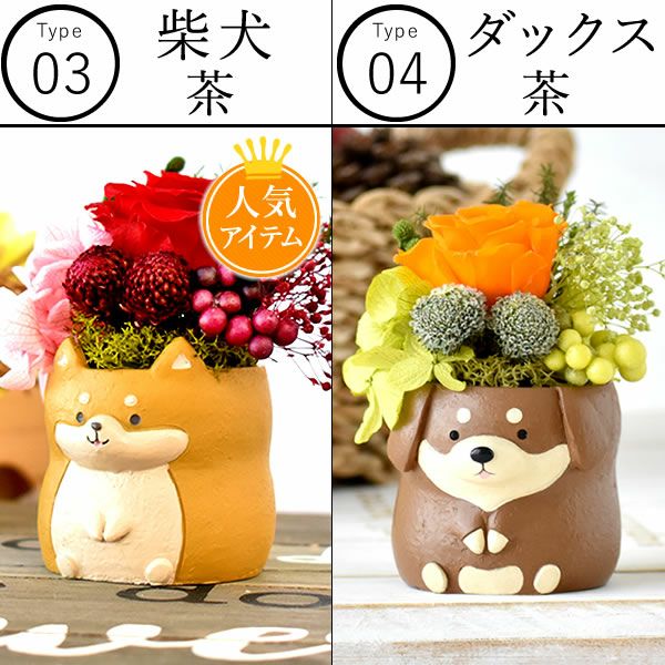 選べるミニポットプリザ＆お芋どら焼き 【母の日 プレゼント 花 ギフト プリザーブドフラワー 犬 犬好き フラワーアレンジメント かわいい おしゃれ ペット バラ 薔薇 一輪 アニマル 動物 ミニ 置き物 送料無料 スイーツ お菓子 和菓子 ギフトセット おいもや】