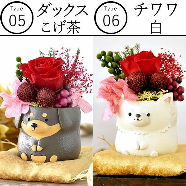 選べるミニポットプリザ＆お芋どら焼き 【母の日 プレゼント 花 ギフト プリザーブドフラワー 犬 犬好き フラワーアレンジメント かわいい おしゃれ ペット バラ 薔薇 一輪 アニマル 動物 ミニ 置き物 送料無料 スイーツ お菓子 和菓子 ギフトセット おいもや】