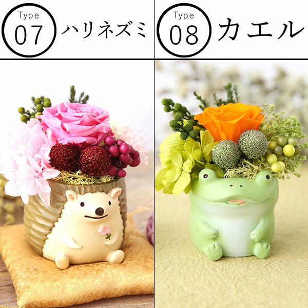 選べるミニポットプリザ＆お芋どら焼き 【母の日 プレゼント 花 ギフト プリザーブドフラワー 犬 犬好き フラワーアレンジメント かわいい おしゃれ ペット バラ 薔薇 一輪 アニマル 動物 ミニ 置き物 送料無料 スイーツ お菓子 和菓子 ギフトセット おいもや】