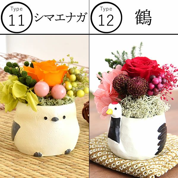 選べるミニポットプリザ＆お芋どら焼き 【母の日 プレゼント 花 ギフト プリザーブドフラワー 犬 犬好き フラワーアレンジメント かわいい おしゃれ ペット バラ 薔薇 一輪 アニマル 動物 ミニ 置き物 送料無料 スイーツ お菓子 和菓子 ギフトセット おいもや】