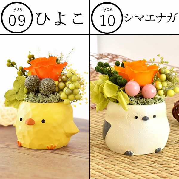 選べるミニポットプリザ＆お芋どら焼き 【母の日 プレゼント 花 ギフト プリザーブドフラワー 犬 犬好き フラワーアレンジメント かわいい おしゃれ ペット バラ 薔薇 一輪 アニマル 動物 ミニ 置き物 送料無料 スイーツ お菓子 和菓子 ギフトセット おいもや】