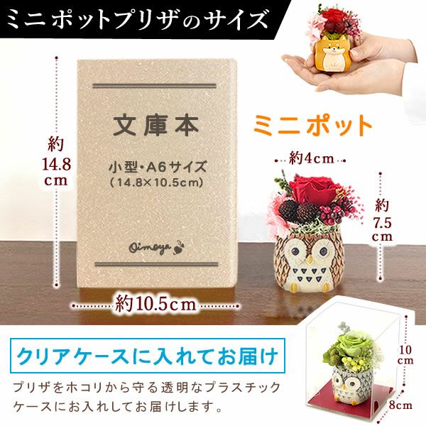 選べるミニポットプリザ＆お芋どら焼き 【母の日 プレゼント 花 ギフト プリザーブドフラワー 犬 犬好き フラワーアレンジメント かわいい おしゃれ ペット バラ 薔薇 一輪 アニマル 動物 ミニ 置き物 送料無料 スイーツ お菓子 和菓子 ギフトセット おいもや】