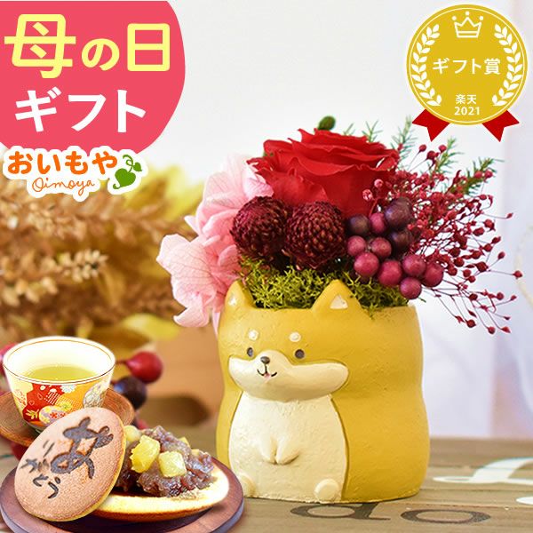 選べるミニポットプリザ＆お芋どら焼き 【母の日 プレゼント 花 ギフト プリザーブドフラワー 犬 犬好き フラワーアレンジメント かわいい おしゃれ ペット バラ 薔薇 一輪 アニマル 動物 ミニ 置き物 送料無料 スイーツ お菓子 和菓子 ギフトセット おいもや】