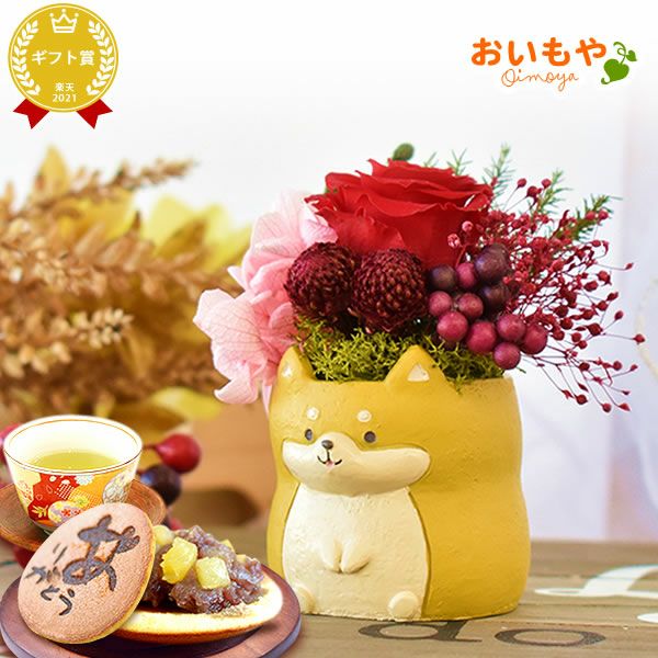 選べるミニポットプリザ＆お芋どら焼き 【母の日 プレゼント 花 ギフト プリザーブドフラワー 犬 犬好き フラワーアレンジメント かわいい おしゃれ ペット バラ 薔薇 一輪 アニマル 動物 ミニ 置き物 送料無料 スイーツ お菓子 和菓子 ギフトセット おいもや】