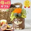 選べるミニポットプリザ＆お芋どら焼き 【母の日 プレゼント 花 ギフト プリザーブドフラワー 犬 犬好き フラワーアレンジメント かわいい おしゃれ ペット バラ 薔薇 一輪 アニマル 動物 ミニ 置き物 送料無料 スイーツ お菓子 和菓子 ギフトセット おいもや】