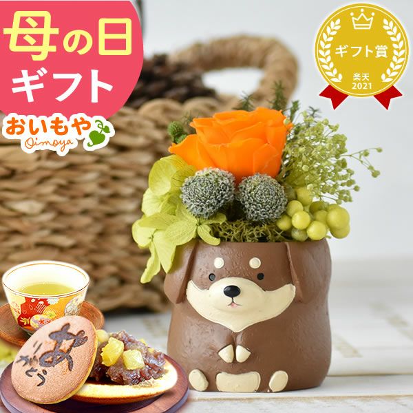 選べるミニポットプリザ＆お芋どら焼き 【母の日 プレゼント 花 ギフト プリザーブドフラワー 犬 犬好き フラワーアレンジメント かわいい おしゃれ ペット バラ 薔薇 一輪 アニマル 動物 ミニ 置き物 送料無料 スイーツ お菓子 和菓子 ギフトセット おいもや】
