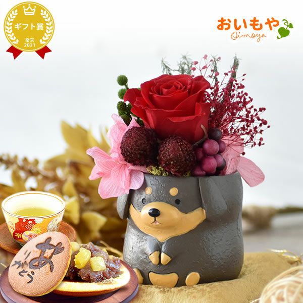 選べるミニポットプリザ＆お芋どら焼き 【母の日 プレゼント 花 ギフト プリザーブドフラワー 犬 犬好き フラワーアレンジメント かわいい おしゃれ ペット バラ 薔薇 一輪 アニマル 動物 ミニ 置き物 送料無料 スイーツ お菓子 和菓子 ギフトセット おいもや】