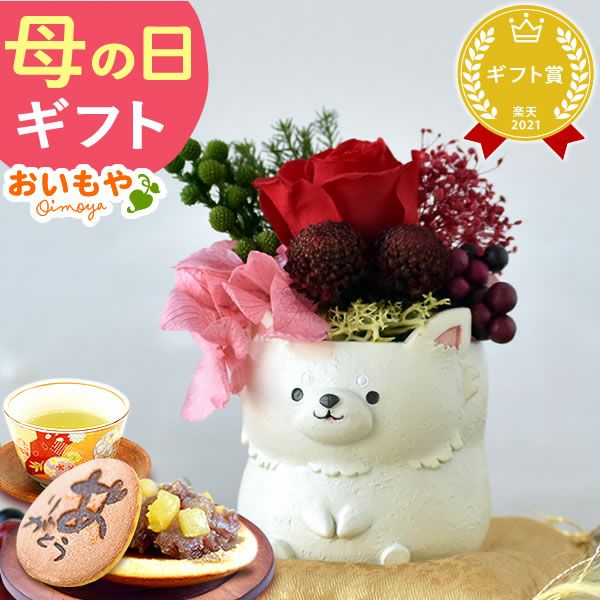 選べるミニポットプリザ＆お芋どら焼き 【母の日 プレゼント 花 ギフト プリザーブドフラワー 犬 犬好き フラワーアレンジメント かわいい おしゃれ ペット バラ 薔薇 一輪 アニマル 動物 ミニ 置き物 送料無料 スイーツ お菓子 和菓子 ギフトセット おいもや】