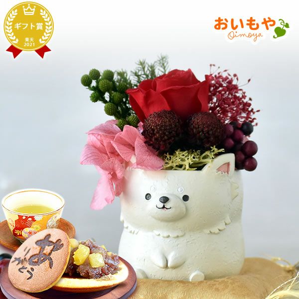 選べるミニポットプリザ＆お芋どら焼き 【母の日 プレゼント 花 ギフト プリザーブドフラワー 犬 犬好き フラワーアレンジメント かわいい おしゃれ ペット バラ 薔薇 一輪 アニマル 動物 ミニ 置き物 送料無料 スイーツ お菓子 和菓子 ギフトセット おいもや】
