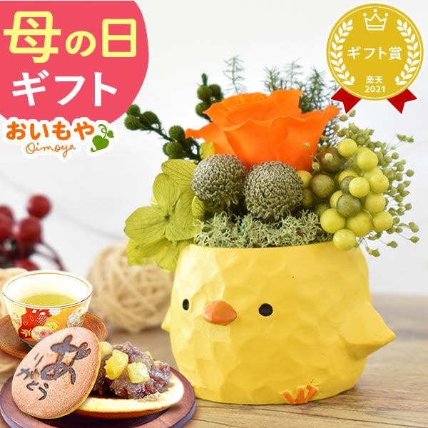 選べるミニポットプリザ＆お芋どら焼き 【母の日 プレゼント 花 ギフト プリザーブドフラワー 犬 犬好き フラワーアレンジメント かわいい おしゃれ ペット バラ 薔薇 一輪 アニマル 動物 ミニ 置き物 送料無料 スイーツ お菓子 和菓子 ギフトセット おいもや】