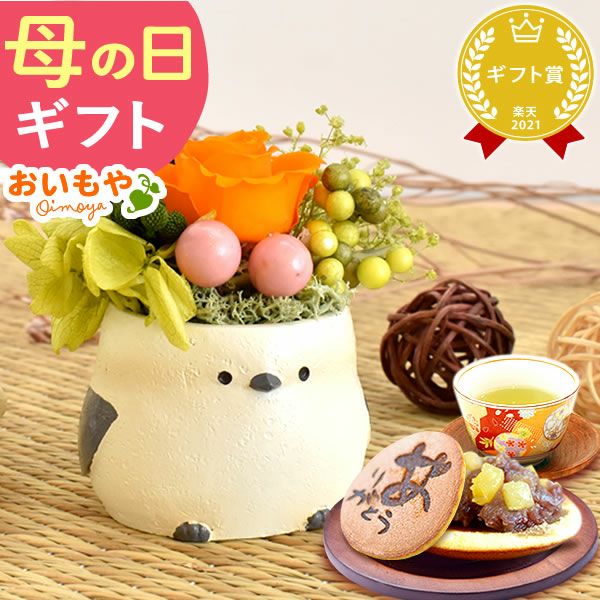 選べるミニポットプリザ＆お芋どら焼き 【母の日 プレゼント 花 ギフト プリザーブドフラワー 犬 犬好き フラワーアレンジメント かわいい おしゃれ ペット バラ 薔薇 一輪 アニマル 動物 ミニ 置き物 送料無料 スイーツ お菓子 和菓子 ギフトセット おいもや】